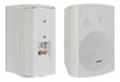 Głośnik 100V BS-1040TS/W - zdjęcie 1