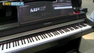 KURZWEIL (MESSE 2011)