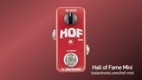 Hall of Fame Mini