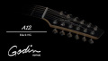 Godin A12 Black HG