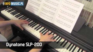 Dynatone SLP-200 (TEST W INFOMUSIC.PL)
