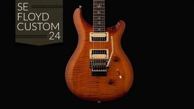 The PRS SE "Floyd" Custom 24
