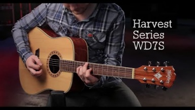 Washburn WD7S